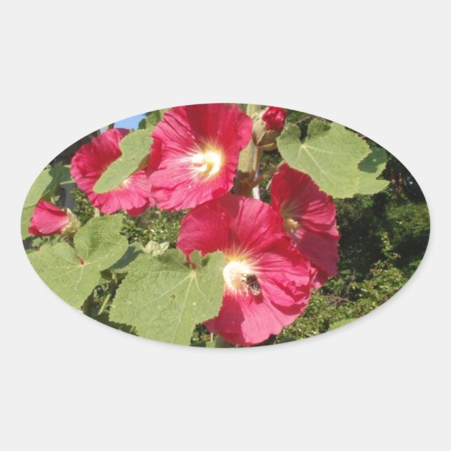 Pink Hollyhocks Ovaler Aufkleber (Vorderseite)