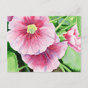 Pink Hollyhocks Postcard Postkarte