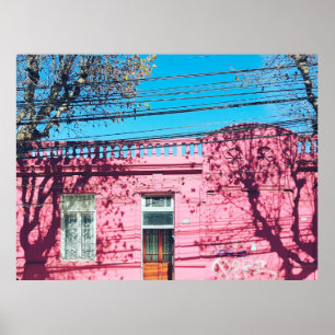 PINK HOUSE POSTER