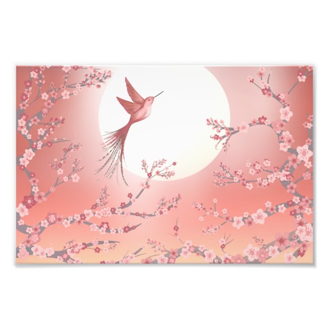 Pink hummingbird moonlight Calm art poster  (Vorne)