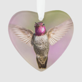 Pink Hummingbird Wings Wide Open, Blick auf Sie Ornament