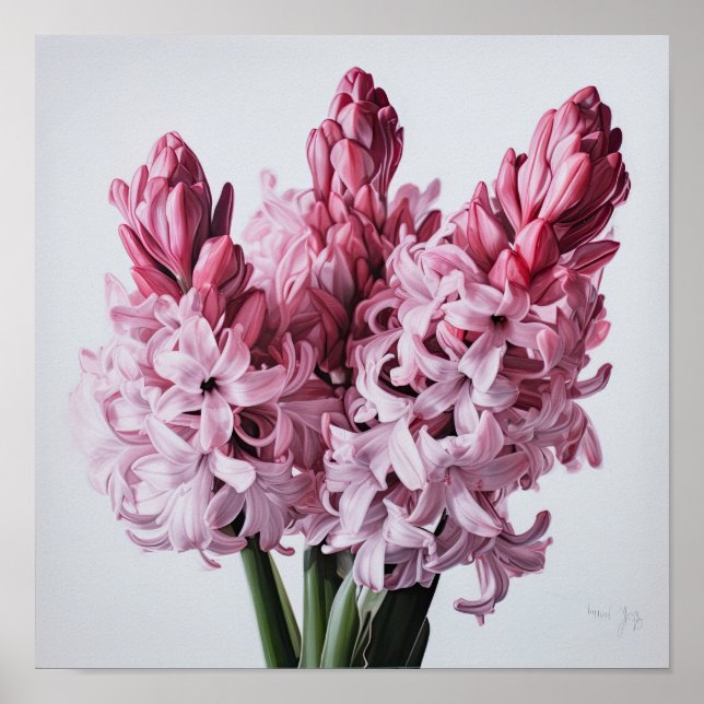 Pink Hyacinth Blume Art Print Poster (Vorne)