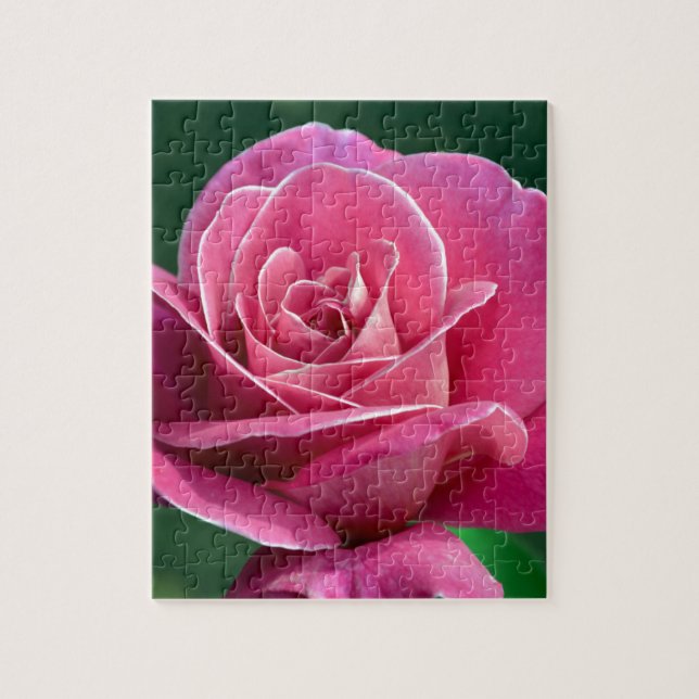Pink Hybrid Tee Rose Puzzle (Vertikal)