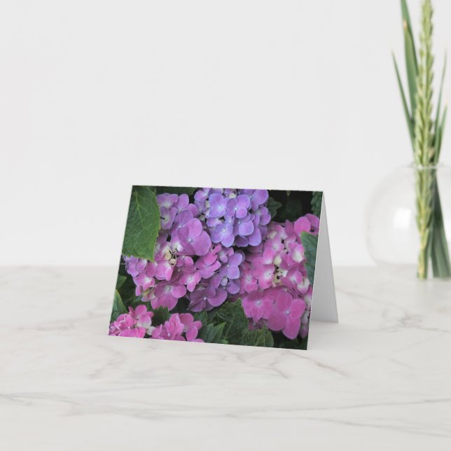 Pink Hydrangea Dankeskarte (Vorderseite)