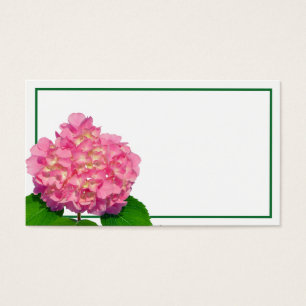 Pink Hydrangea Rosa Blume Rosa Blütenblume