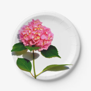 Pink Hydrangea Rosa Blume Rosa Rosen Pappteller