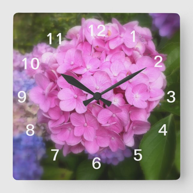 Pink Hydrangea Wall Clock Quadratische Wanduhr (Vorderseite)