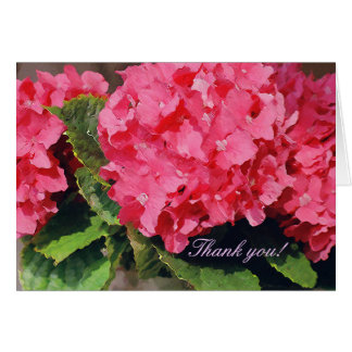 Pink Hydrangeas