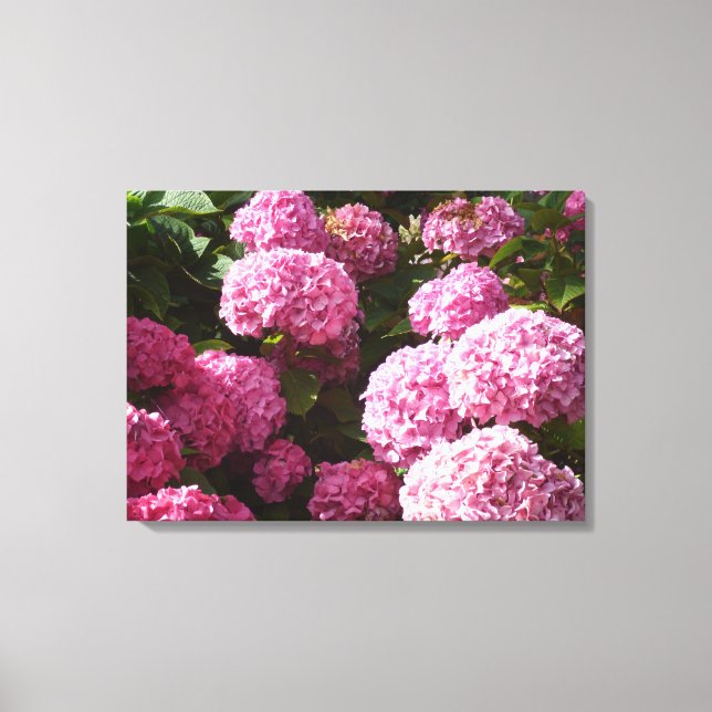 Pink Hydrangeas Leinwanddruck (Vorderseite)