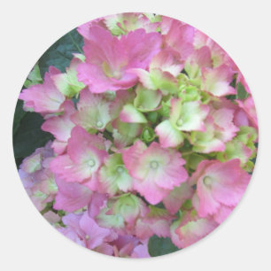 Pink Hydrangeas Runder Aufkleber