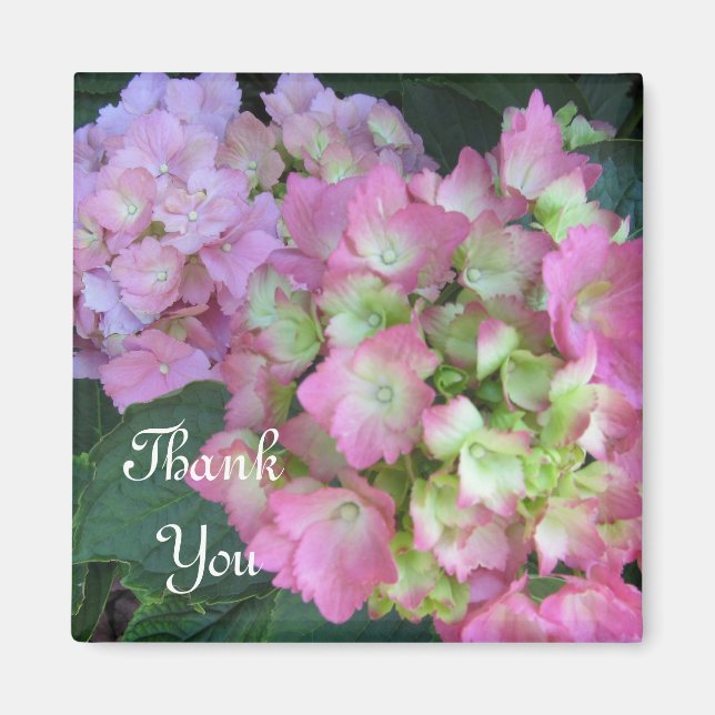 Pink Hydrangeas Vielen Dank Magnet (Vorne)