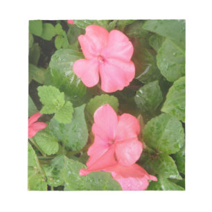 Pink Impatids Blume Editor Notizblock