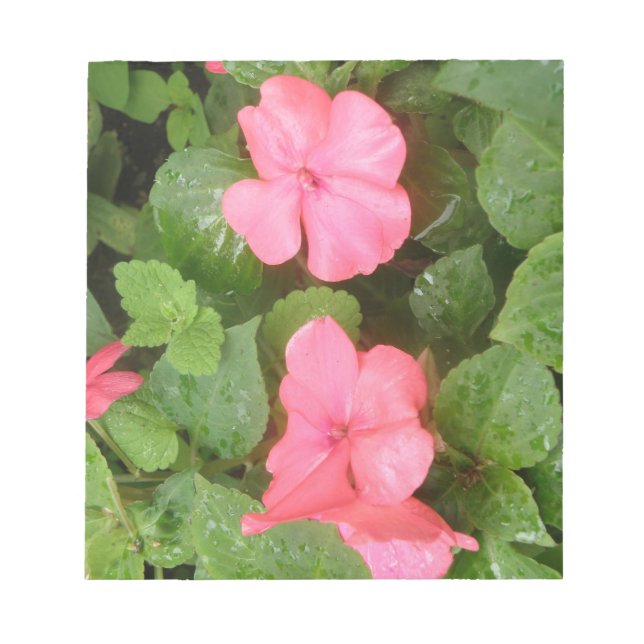 Pink Impatids Blume Editor Notizblock (Vorderseite)