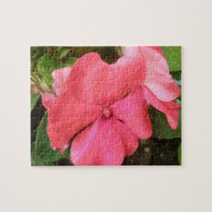 Pink Impatiens Blume Makro Puzzle