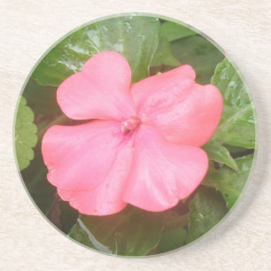 Pink Impatiens Blume Untersetzer