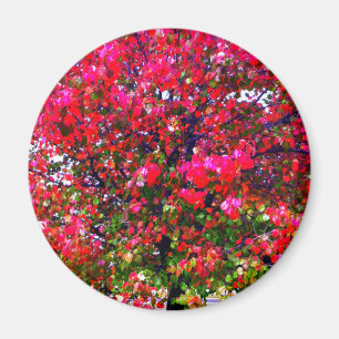 Pink impressionistisch Herbst Blätter Bäume Magnet