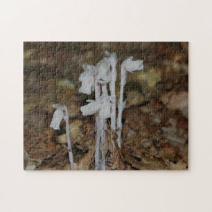 Pink Indian Pipe Ghost Blume Puzzle