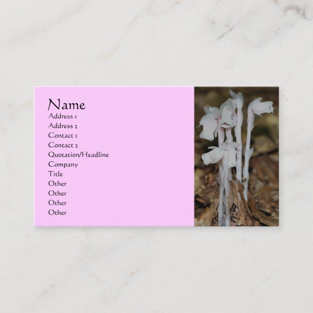 Pink Indian Pipe Wildblumen Nature Business Card Visitenkarte (Vorderseite)