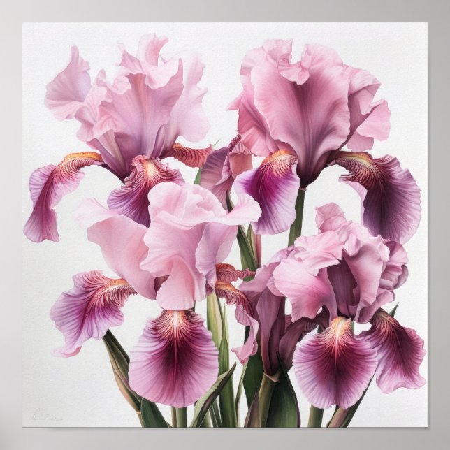 Pink Ire Blume Art Print Poster (Vorne)