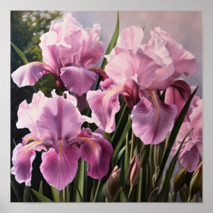 Pink Ire Blume Art Print Poster