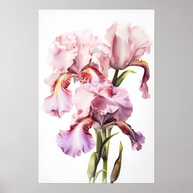 Pink Ire Blume Art Print Poster (Vorne)