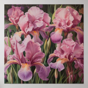 Pink Ire Blume Art Print Poster