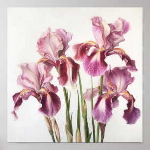 Pink Ire Blume Art Print Poster