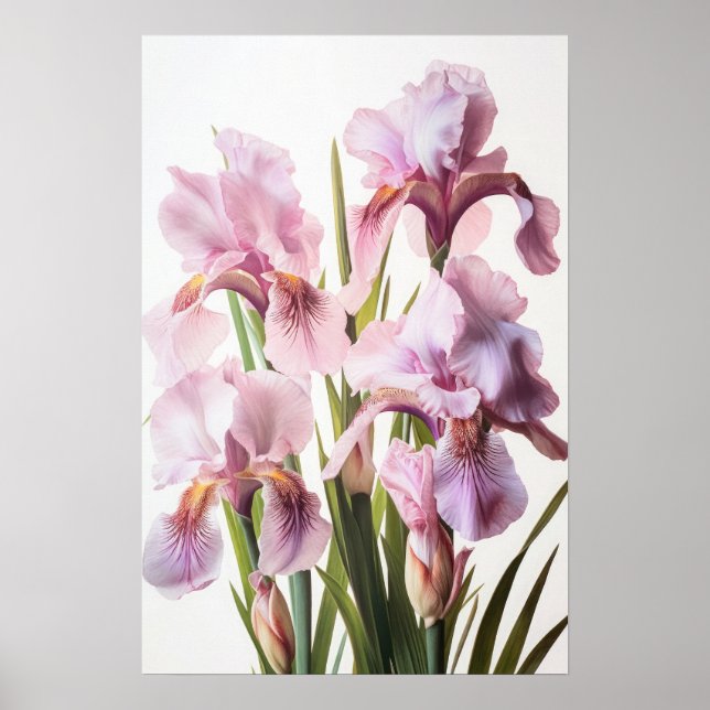Pink Ire Blume Art Print Poster (Vorne)