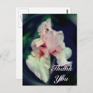 Pink Iris Abstrakt Floral Vielen Dank Postcard Postkarte