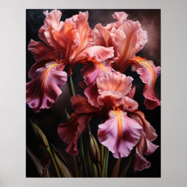 Pink Iris Blume Art Print Poster