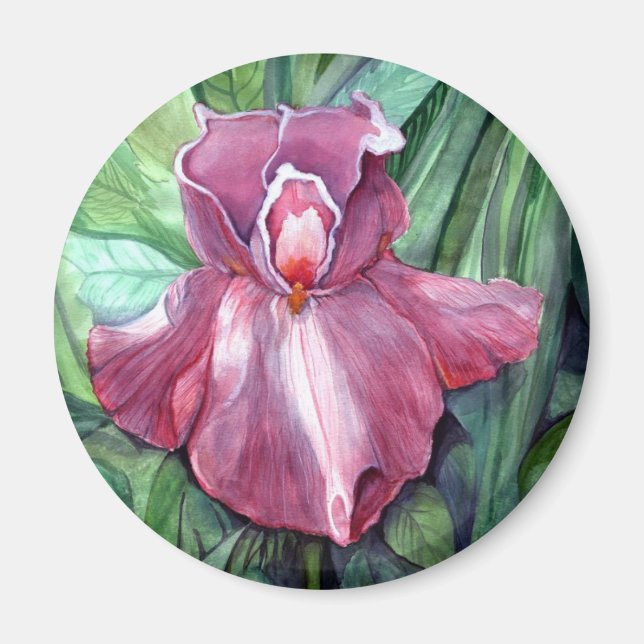 Pink Iris Magnet (Vorne)