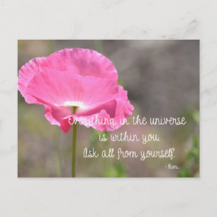 Pink Island Poppy Blume Postkarte