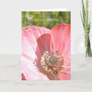Pink Island Poppy III Karte