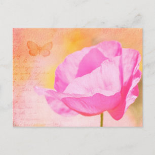 Pink Island Poppy Postkarte