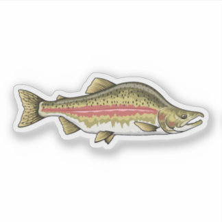 Pink Lachs Aufkleber