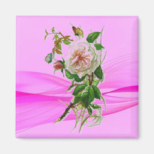 Pink Lady Magnet