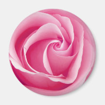 Pink Lady Rose Magnet