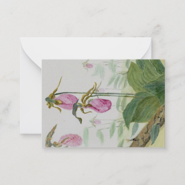 Pink Lady Slipper Flat Notecard Mitteilungskarte (Vorderseite)