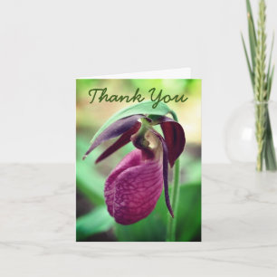 Pink Lady Slipper Orchid Blume Danke Karte