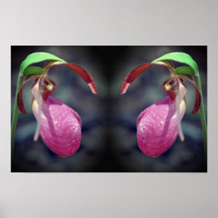 Pink Lady Slipper Orchid Blume Mirror Abstrakt Poster