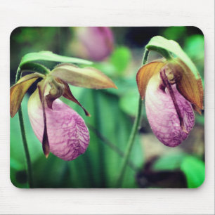 Pink Lady Slipper Orchid Blume Mousepad