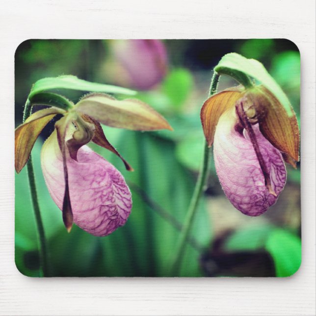 Pink Lady Slipper Orchid Blume Mousepad (Vorne)