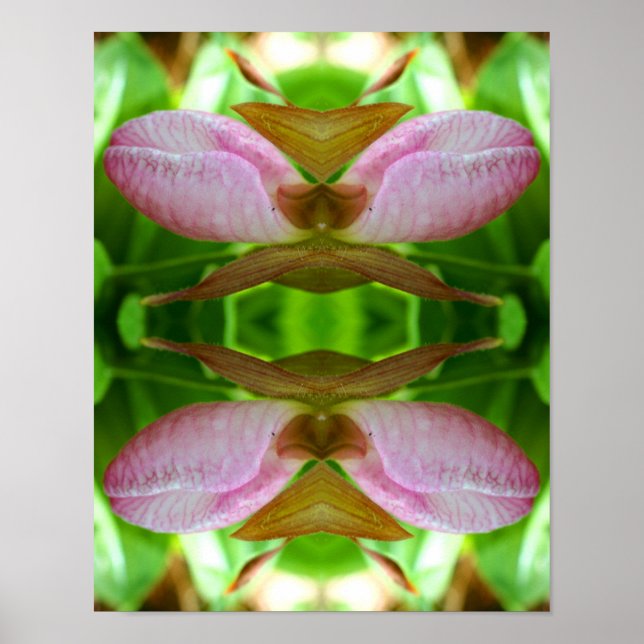 Pink Lady Slipper Orchid Blume Nah Abstrakt Poster (Vorne)