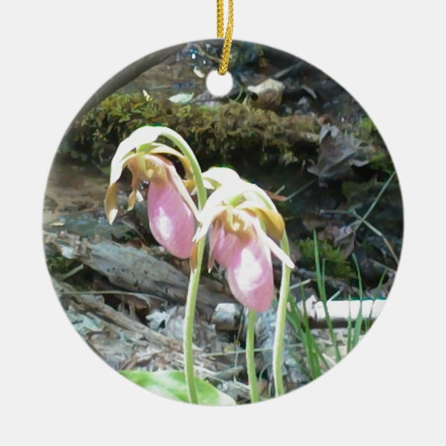 Pink Lady Slipper Orchid Keramikornament (Vorne)