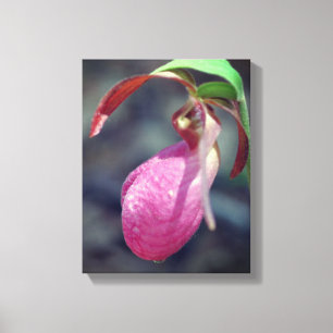 Pink Lady Slipper Orchid Raindrop Leinwanddruck