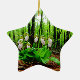 Pink Lady Slipper Wild Orchid Keramik Ornament