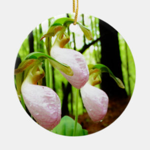 Pink Lady Slipper Wild Orchid Keramikornament