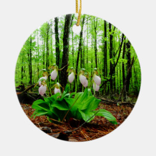 Pink Lady Slipper Wild Orchid Keramikornament