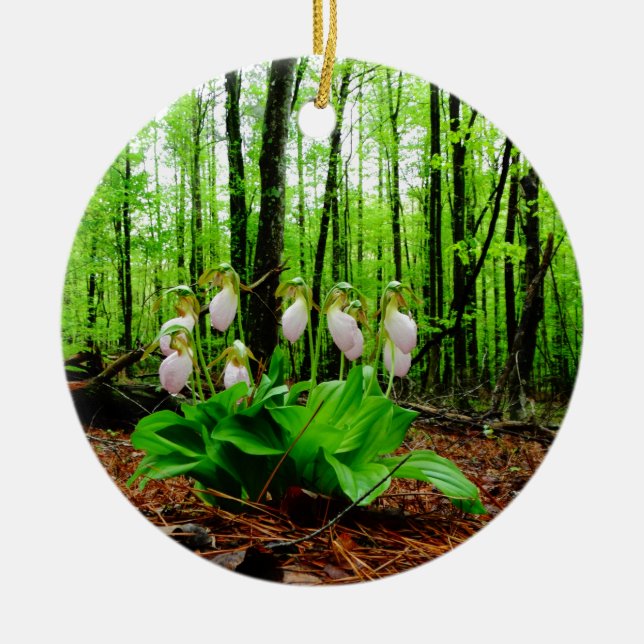 Pink Lady Slipper Wild Orchid Keramikornament (Vorne)
