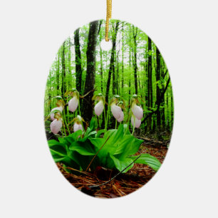 Pink Lady Slipper Wild Orchid Keramikornament